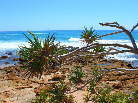 Rocky Point - Accommodation Rockhampton 1