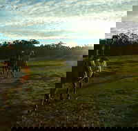 Scenic NSW Horse Riding Centre - Accommodation Rockhampton