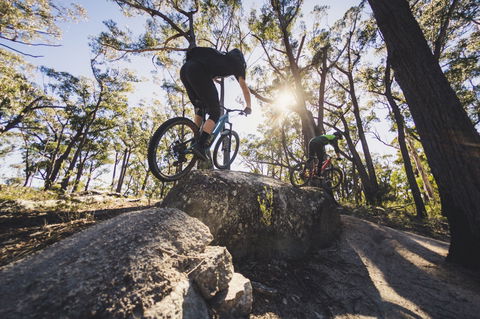 St Helens Mountain Bike Trails - Accommodation Rockhampton 1
