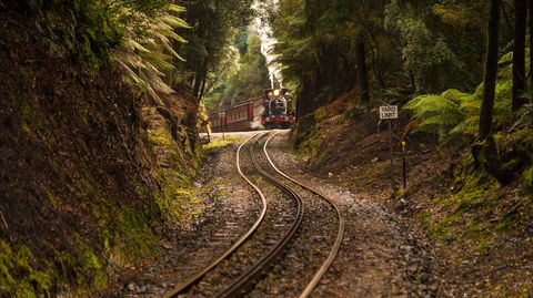 The West Coast Wilderness Way - Accommodation Rockhampton 0