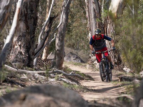 Thredbo Valley Track - Accommodation Rockhampton 2