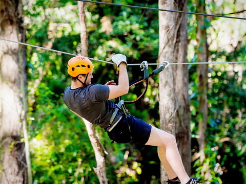 TreeTop Challenge Currumbin Wildlife Sanctuary - Accommodation Rockhampton 0