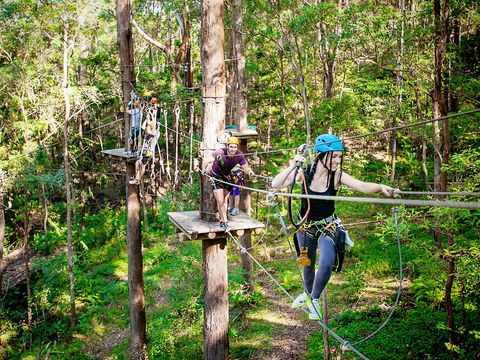 TreeTop Challenge Currumbin Wildlife Sanctuary - Accommodation Rockhampton 1