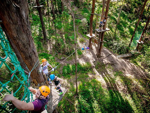 TreeTop Challenge Currumbin Wildlife Sanctuary - Accommodation Rockhampton 2