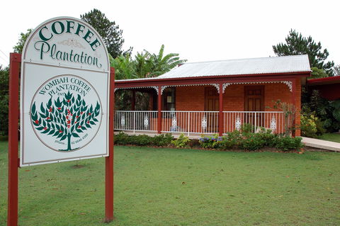 Wombah Coffee Plantation - Accommodation Rockhampton 0