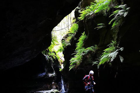 Full-Day Canyoning Experience At Stunning Empress Canyon - Accommodation Rockhampton 6