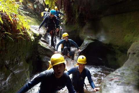Full-Day Canyoning Experience At Stunning Empress Canyon - Accommodation Rockhampton 7
