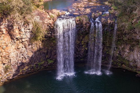 Rainforest & Waterfall Experience - Accommodation Rockhampton 1