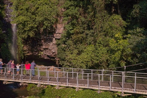 Rainforest & Waterfall Experience - Accommodation Rockhampton 4