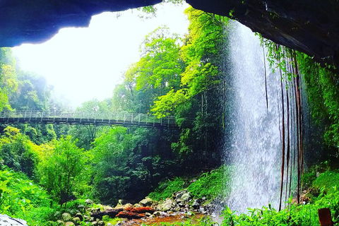 Rainforest & Waterfall Experience - Accommodation Rockhampton 6