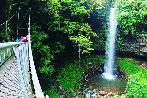 Rainforest & Waterfall Experience - Accommodation Rockhampton 0