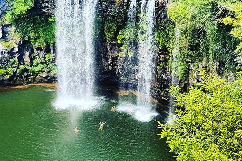 Rainforest & Waterfall Experience - Accommodation Rockhampton 2