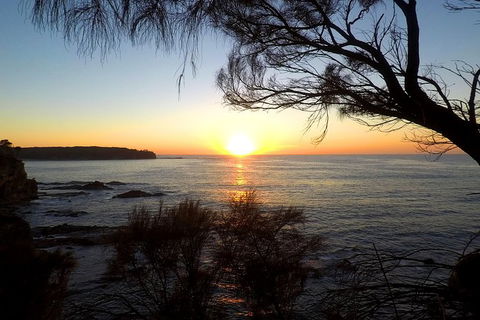 Batemans Bay Overnight Kayak Camping Tour - All Inclusive - Accommodation Rockhampton 1