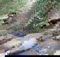 Bomaderry Creek Regional Park - Accommodation Rockhampton