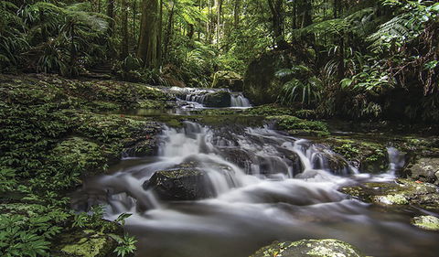 Protesters Falls Walking Track - Accommodation Rockhampton 0