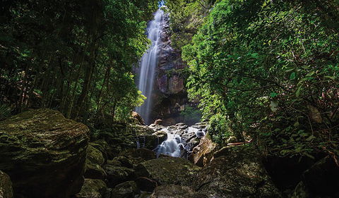Protesters Falls Walking Track - Accommodation Rockhampton 1