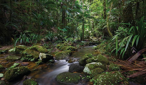 Protesters Falls Walking Track - Accommodation Rockhampton 2