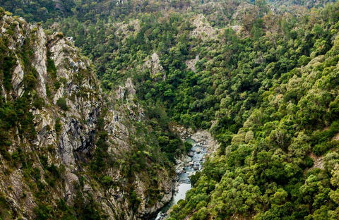 Tiara Walking Track - Accommodation Rockhampton 0