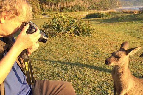 Highlights Of The Eurobodalla (half Day Private Tour) - Accommodation Rockhampton 2