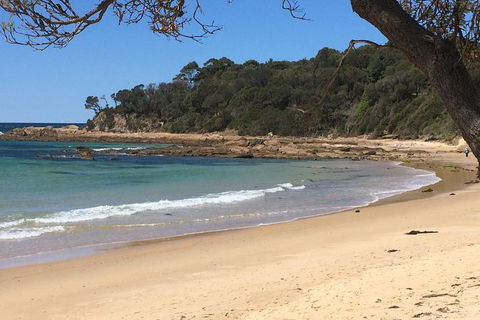 Highlights Of The Eurobodalla (half Day Private Tour) - Accommodation Rockhampton 5