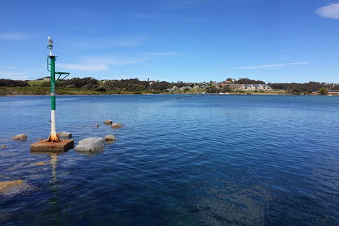 Highlights Of The Eurobodalla (half Day Private Tour) - Accommodation Rockhampton 14