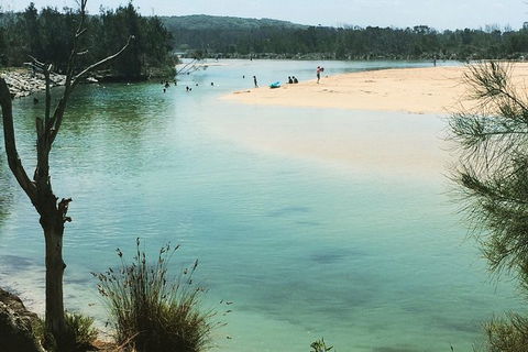 Highlights Of The Eurobodalla (half Day Private Tour) - Accommodation Rockhampton 6