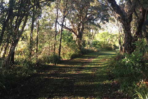 Coffs Harbour To Sawtell Bike Ride - Accommodation Rockhampton 7
