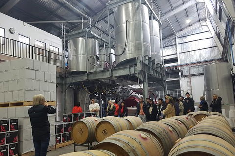 Hunter Valley Small Group Wine, Gin, Cheese & Chocolate Tour - Accommodation Rockhampton 6