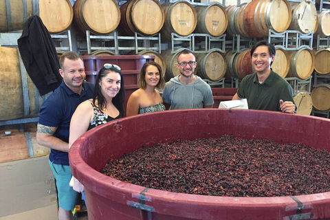 Hunter Valley Small Group Wine, Gin, Cheese & Chocolate Tour - Accommodation Rockhampton 0