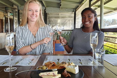 Hunter Valley Exclusive Kangaroo And Wine Tasting Experience - Accommodation Rockhampton 7