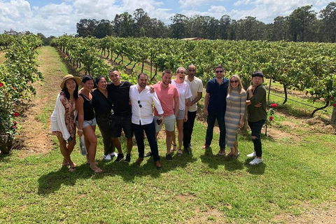 Hunter Valley Exclusive Kangaroo And Wine Tasting Experience - Accommodation Rockhampton 6
