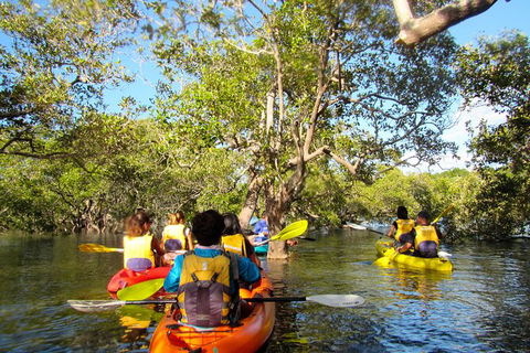 2-Hour Rental Kayak Double In Brunswick River - Accommodation Rockhampton 2
