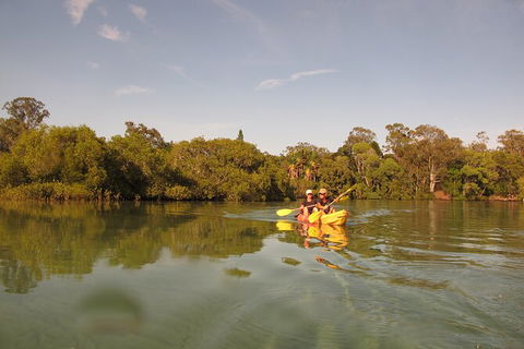 2-Hour Rental Kayak Double In Brunswick River - Accommodation Rockhampton 5