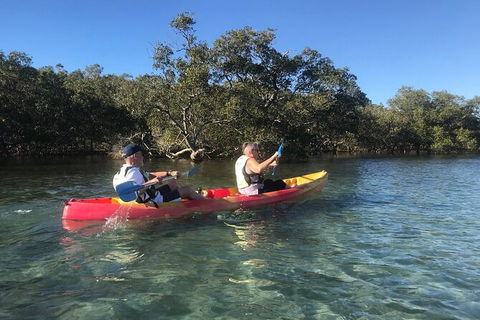 2-Hour Rental Kayak Double In Brunswick River - Accommodation Rockhampton 4