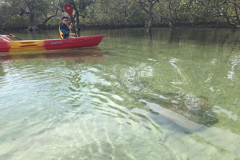 2-Hour Rental Kayak Double In Brunswick River - Accommodation Rockhampton 6