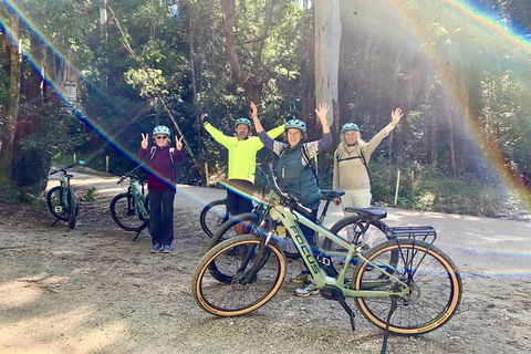 Guided E Bike Tour - Unicorn Falls & National Park - Accommodation Rockhampton 3