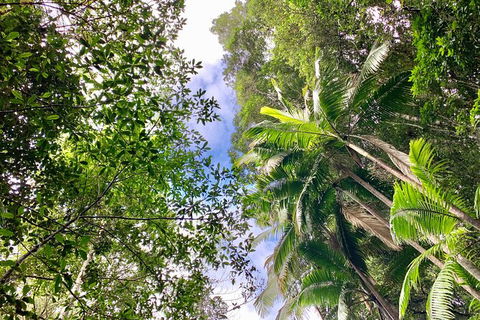 Guided E Bike Tour - Unicorn Falls & National Park - Accommodation Rockhampton 5