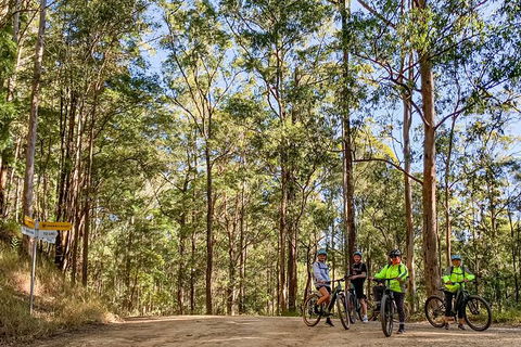 Guided E Bike Tour - Unicorn Falls & National Park - Accommodation Rockhampton 10