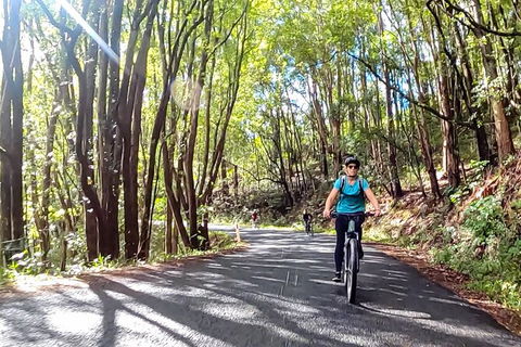 Guided E Bike Tour - Unicorn Falls & National Park - Accommodation Rockhampton 16