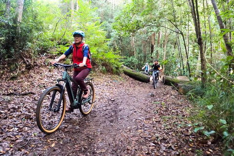 Guided E Bike Tour - Unicorn Falls & National Park - Accommodation Rockhampton 9
