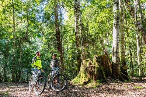 Guided E Bike Tour - Unicorn Falls & National Park - Accommodation Rockhampton 14