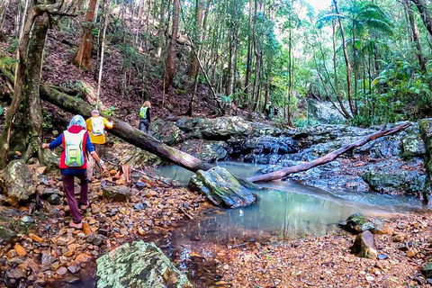 Guided E Bike Tour - Unicorn Falls & National Park - Accommodation Rockhampton 17