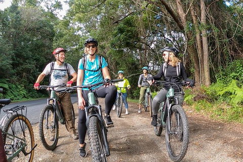 Guided E Bike Tour - Unicorn Falls & National Park - Accommodation Rockhampton 11