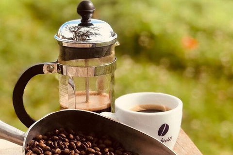 Coffee Farm Tour And Workshop, Byron Bay Hinterland - Accommodation Rockhampton 0