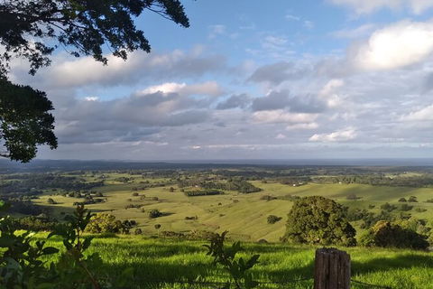 Coffee Farm Tour And Workshop, Byron Bay Hinterland - Accommodation Rockhampton 4