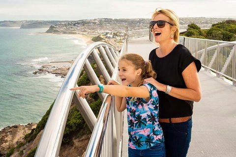 Newcastle Scenic Explorer - 2 Hour Tour By Minibus - Accommodation Rockhampton 0