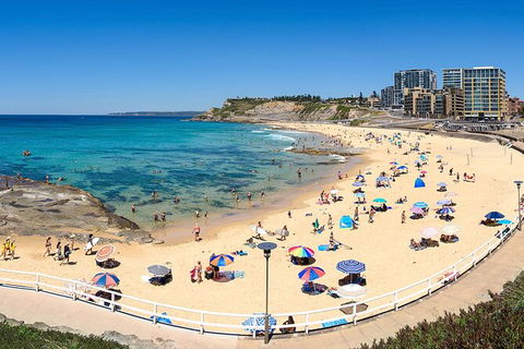 Newcastle Scenic Explorer - 2 Hour Tour By Minibus - Accommodation Rockhampton 16