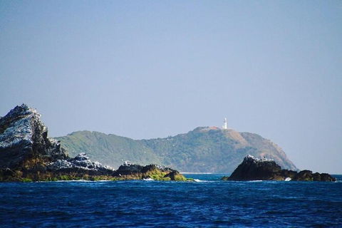 Julian Rocks Byron Bay Cruise - Accommodation Rockhampton 2