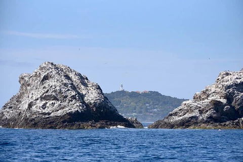 Julian Rocks Byron Bay Cruise - Accommodation Rockhampton 14