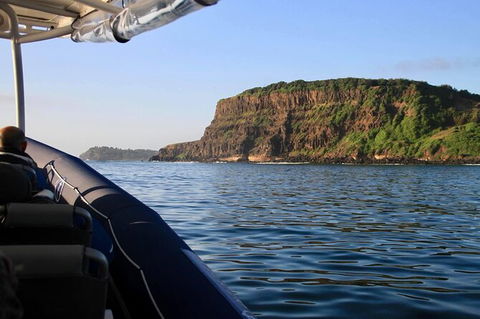 Julian Rocks Byron Bay Cruise - Accommodation Rockhampton 17